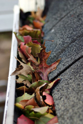 Gutter Cleaning Services